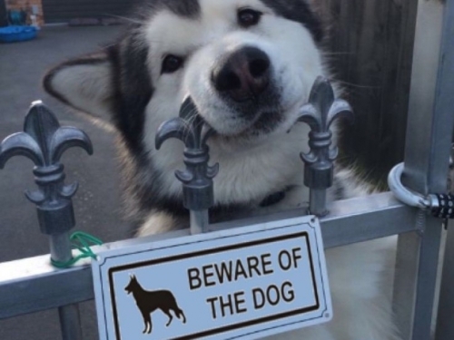 US watchdogs snuffle Microsoft's Activision Blizzard buy out