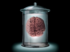 Intel to release neuromorphic computing system