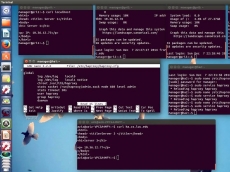 HAProxy&#039;s load balancer handles 2.04 million requests per second