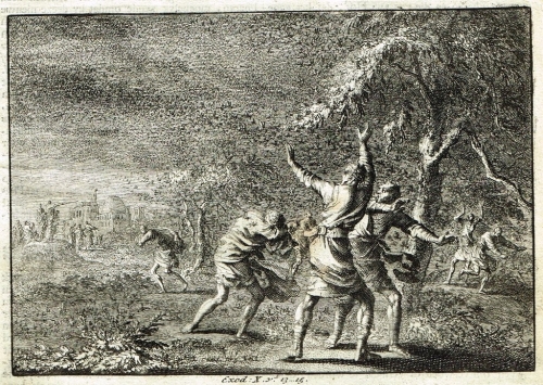 Apple can't fix this bug problem with updates