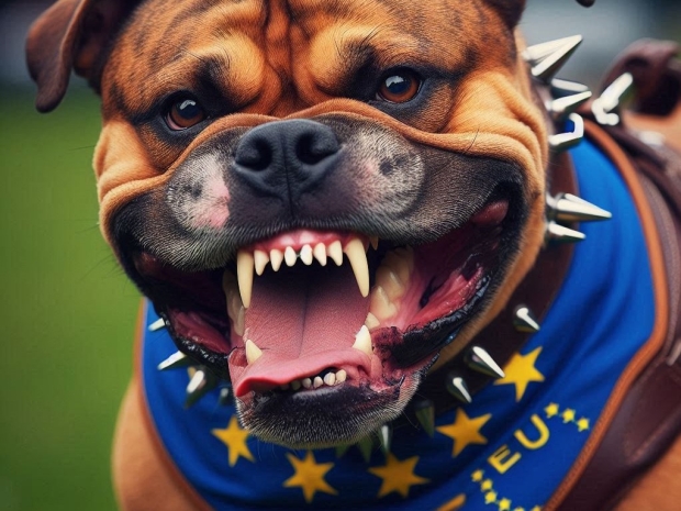 Brussels probes SAP’s on-prem support tactics