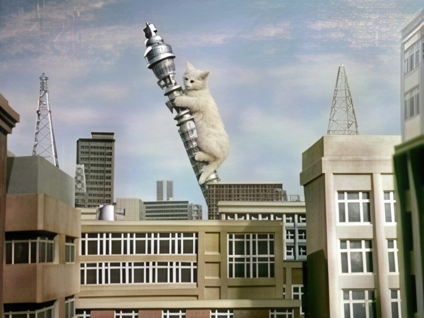 BT chops jobs as broadband customers flee to rivals