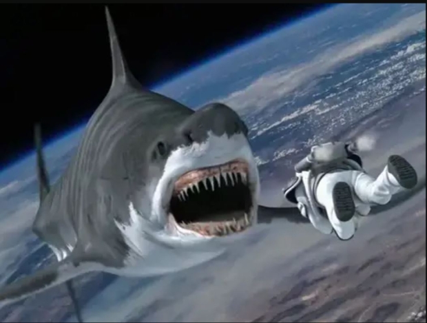 HDT snaps up half of Spacecom