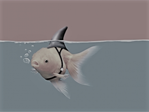 Android AV apps don't work