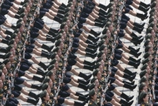 Sexbots invade Twitter